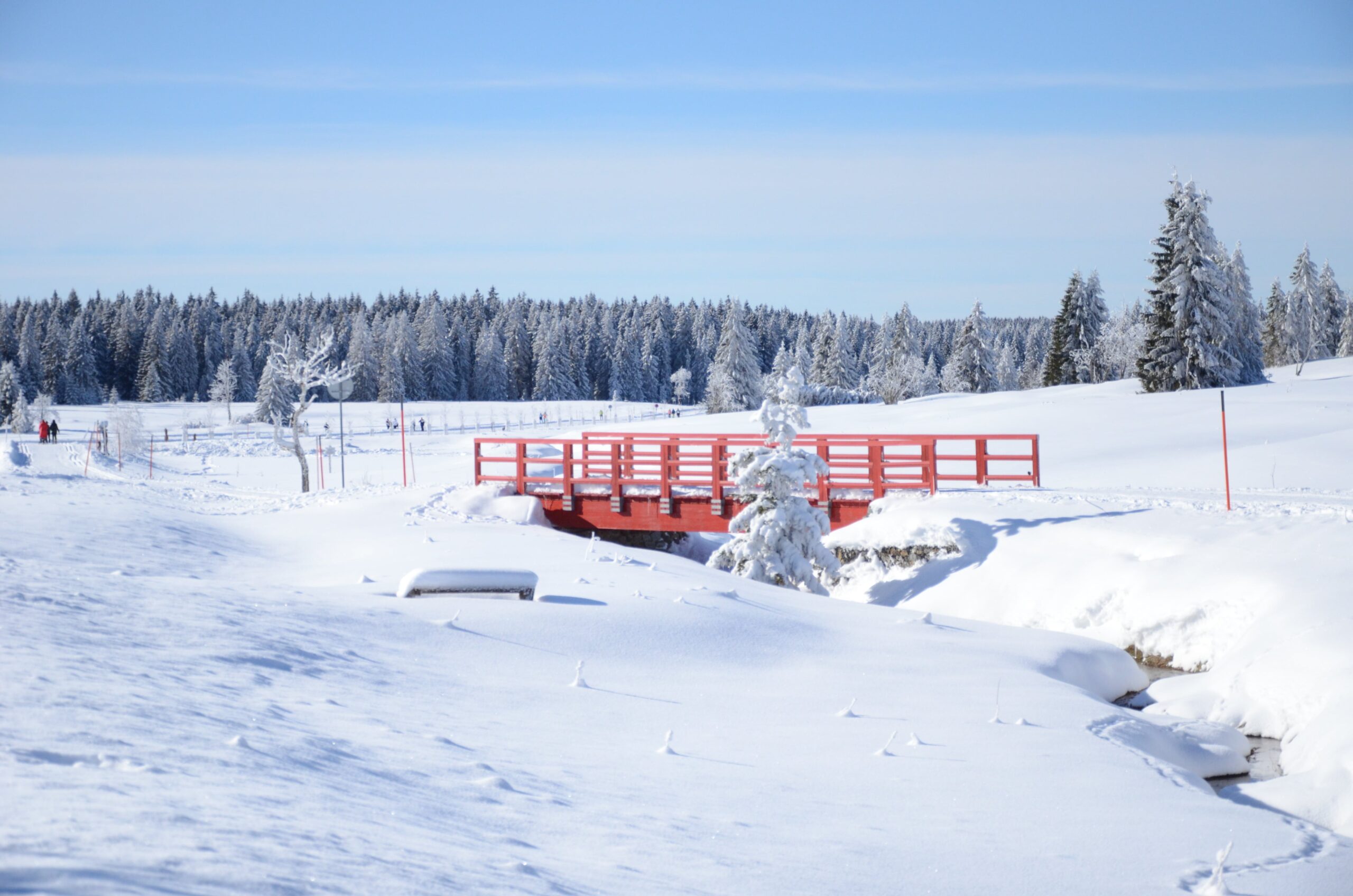 Běžecké lyžování v Krušných horách