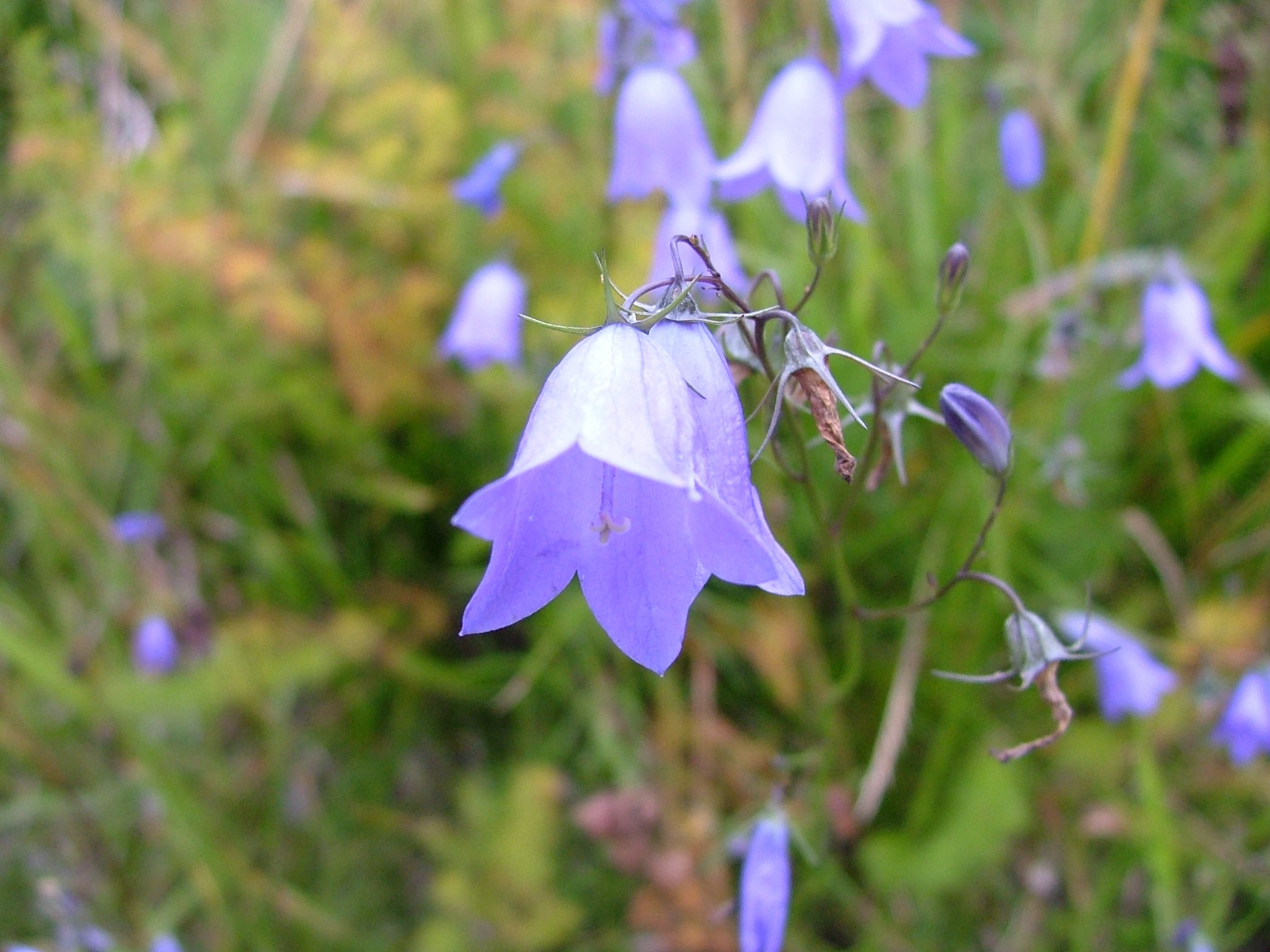 Cykloturistika v Krušných horách